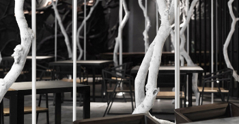 予木和空间以灵魂-办公室装修公司分享