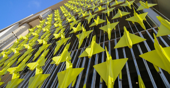 准备飞鸭-办公室装饰设计赶紧参考一下