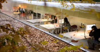 鼓舞人心的森林-办公室设计