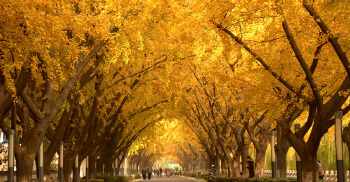 办公室色彩搭配知识—橙色的魅力