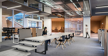 办公室装修后应该养那些花会更好？