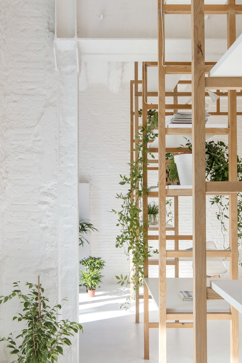 办公装修设计 植物