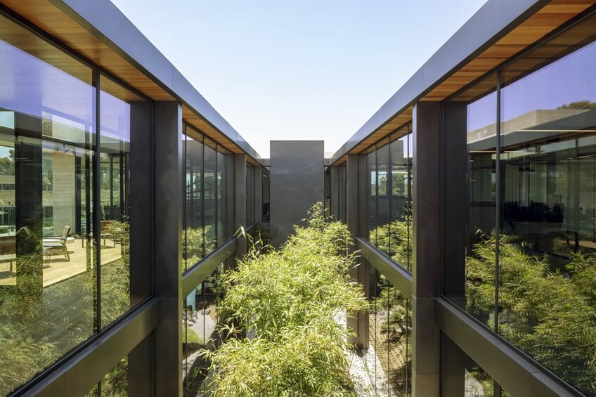 办公室装饰装修 中庭植物