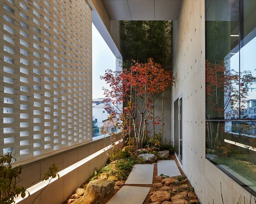 办公设计装修 办公场所绿地