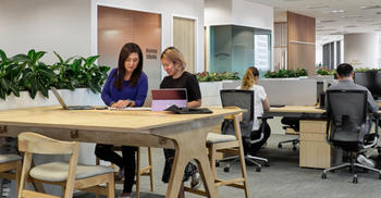 工作室装修-创造人与自然之间的和谐