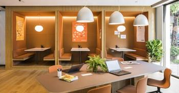 工厂装修时-植物装饰都有那些步骤