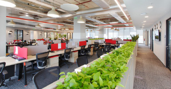 办公室装修注意哪些事项，还要体现特色重要性