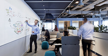 装饰办公室应该放什么植物，会更好