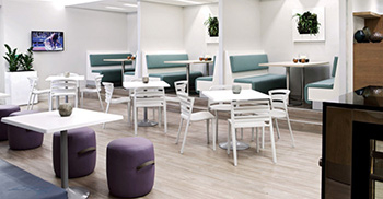 办公室植物设计特点和手法技巧_你学会了吗