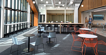 让自然光流淌进办公空间