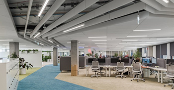 苔藓作品覆盖了接待处和大会议室的墙壁 营造室内公园的印象