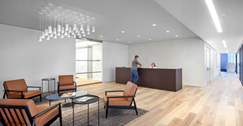 定制的饰面、固定装置和家具营造出一种奢华的氛围