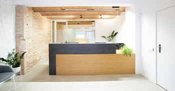 办公室设计将空间的原始材料与家具和绿色植物中的色彩混合