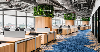 办公室设计灵感来自公园散步的概念 清新宽敞