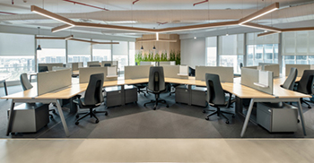 办公室设计装修：极简主义方法和毛绒感觉之间的完美和谐