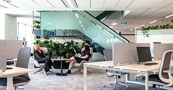 办公室装修：凝聚力和连接是这个设计的主要驱动力