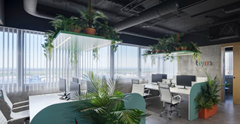 办公室装修：橡木、黑色油漆和裸露的混凝土与企业色彩相关