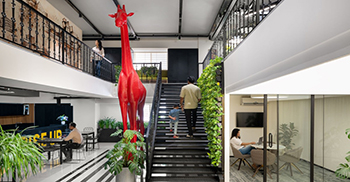 办公空间设计装修：调色板主要围绕单色色调 流动性的概念延伸到照明设计中