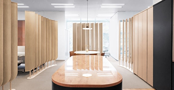 办公楼装修设计：正交形式被雕塑曲线和自然调色板的语言所抵消