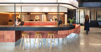 时尚办公室装修：橡木的突出用途传达了耐用性、可持续性和通过木纹讲述的丰富自然故事