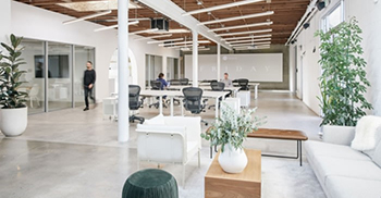 办公室设计装修案例：布局旨在使文化规范从灵活的设计到慷慨的合作在物理上体现出来