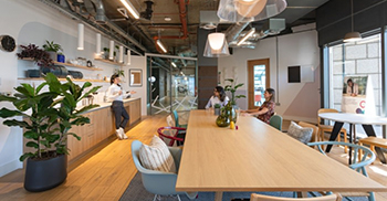 办公室空间设计：使用平静和柔和的调色板营造出温馨、个性化和亲密的感觉