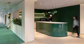 公司办公室设计装修：利用创新、经济高效和环保的材料营造出宁静的氛围