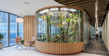 办公室设计：扇贝边缘的定制细木工制品和定制的钟乳石灵感灯参考自然颜色和纹理