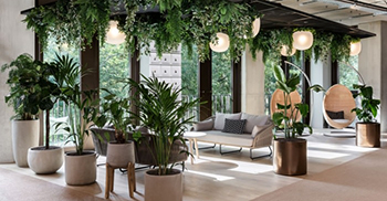 办公空间设计：选择偏离传统的饰面 采用现代和自然的材料调色板