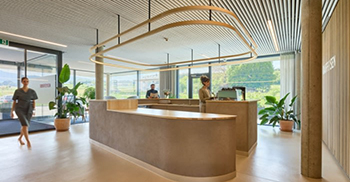 办公室设计装修：蜿蜒的水道引导到模仿周围森林的彩色咨询室