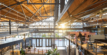 公司办公楼装修：以个人为中心的区域由黎明时分的凉爽、柔和的色调代表