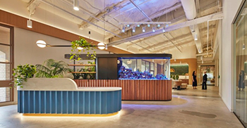 厂房办公楼装修：装饰风格以郁郁葱葱的景观和整个空间精心策划的艺术品为主